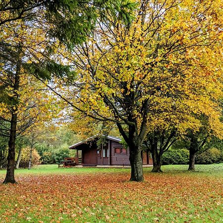 Pinecroft Lodges Ingleton  Exterior photo